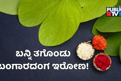 banni Habba