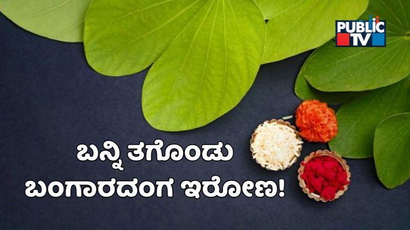 banni Habba