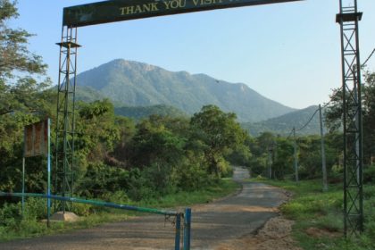 mm hills sanctuary tiger death