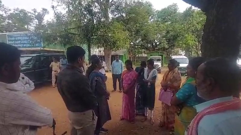 mm hills tiger death case