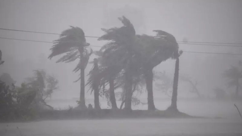 ಆಂಧ್ರ, ಒಡಿಶಾ ಕರಾವಳಿಯಲ್ಲಿ ಮೊಂಥಾ ಚಂಡಮಾರುತ ಅಬ್ಬರ - 110 ಕಿ.ಮೀ ವೇಗದಲ್ಲಿ ಬೀಸುತ್ತಿದೆ ಗಾಳಿ 1 montha cylone