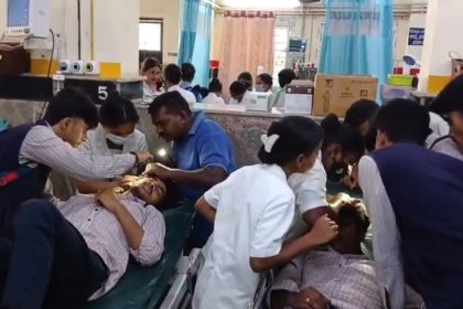 25 students injured in Honey bee attack one student in critical condition