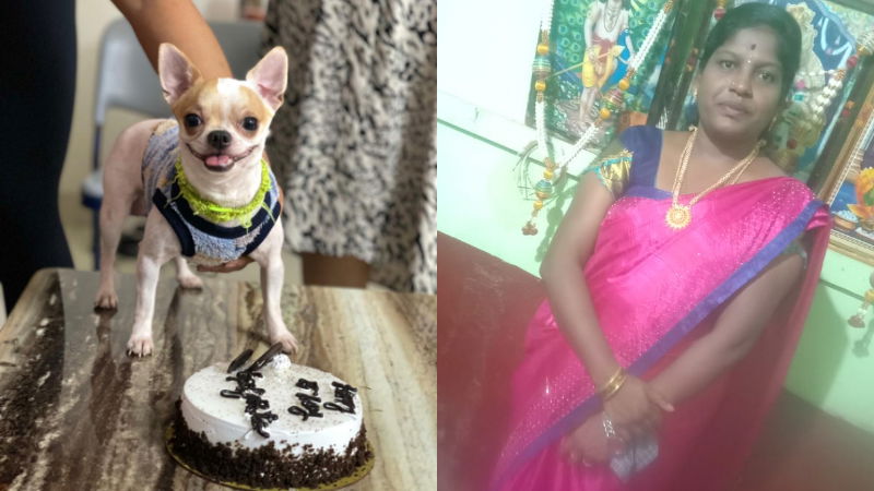 Bagaluru Puppy Murder Woman Arrest