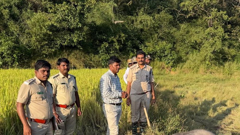 Belagavi Elephants 2