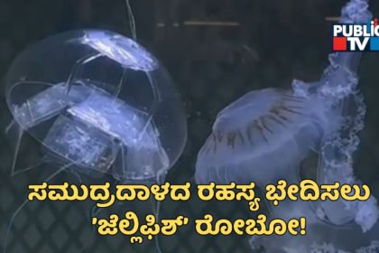 China Jellyfish Robot