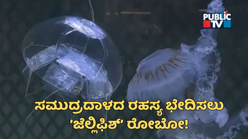 China Jellyfish Robot