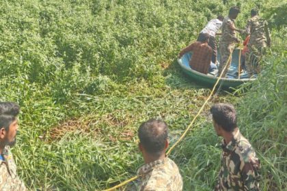 Ramanagara Wild Elephant Death