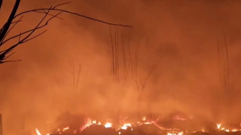 ದೆಹಲಿ ರೋಹಿಣಿಯ ರಿಥಾಲಾ ಮೆಟ್ರೋ ನಿಲ್ದಾಣದ ಬಳಿ ಸ್ಲಮ್ಗೆ ಬೆಂಕಿ - ಓರ್ವ ವ್ಯಕ್ತಿ ಸಾವು 1 delhi fire accident