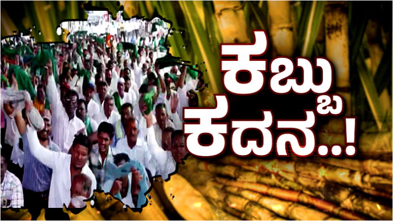 sugarcane farmers protest